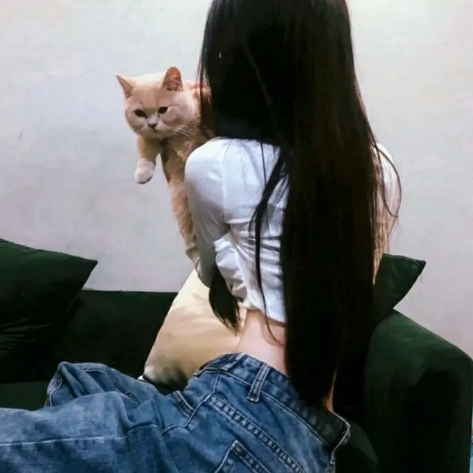 滑奏